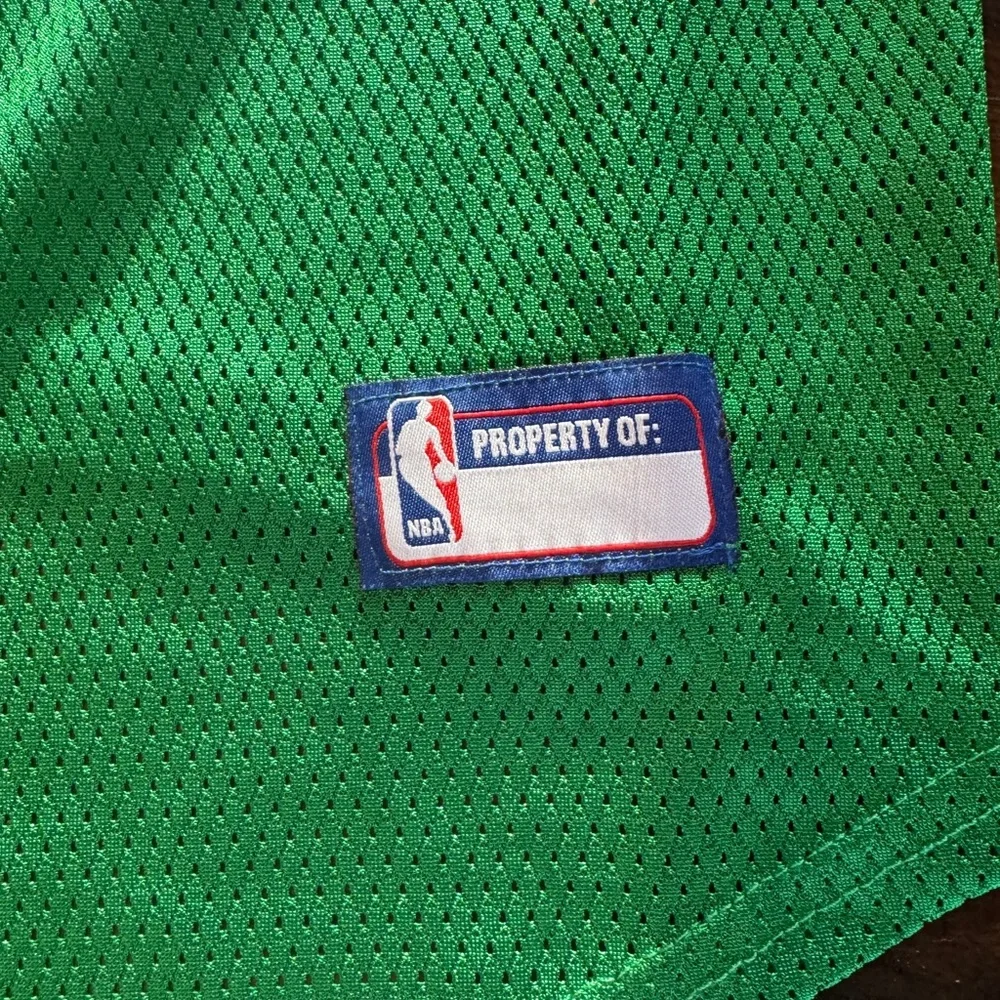 NBA Green Celtics Dog  Jersey